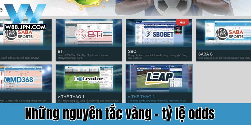 Odds là gì? W88