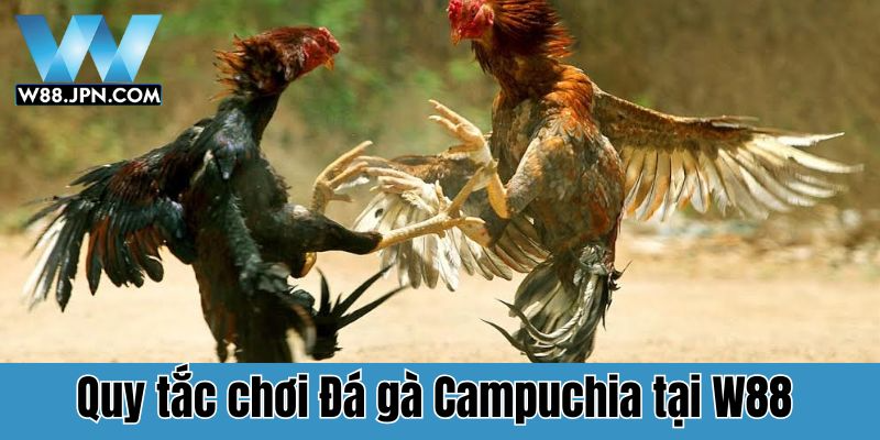 Đá gà Campuchia W88