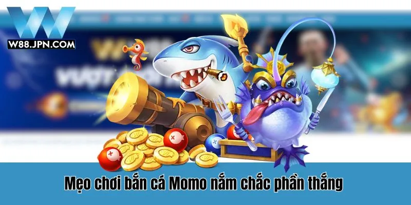 Momo Fishing W88 